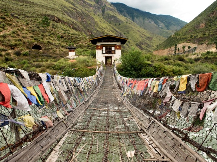 Bhutan Tea Gardens