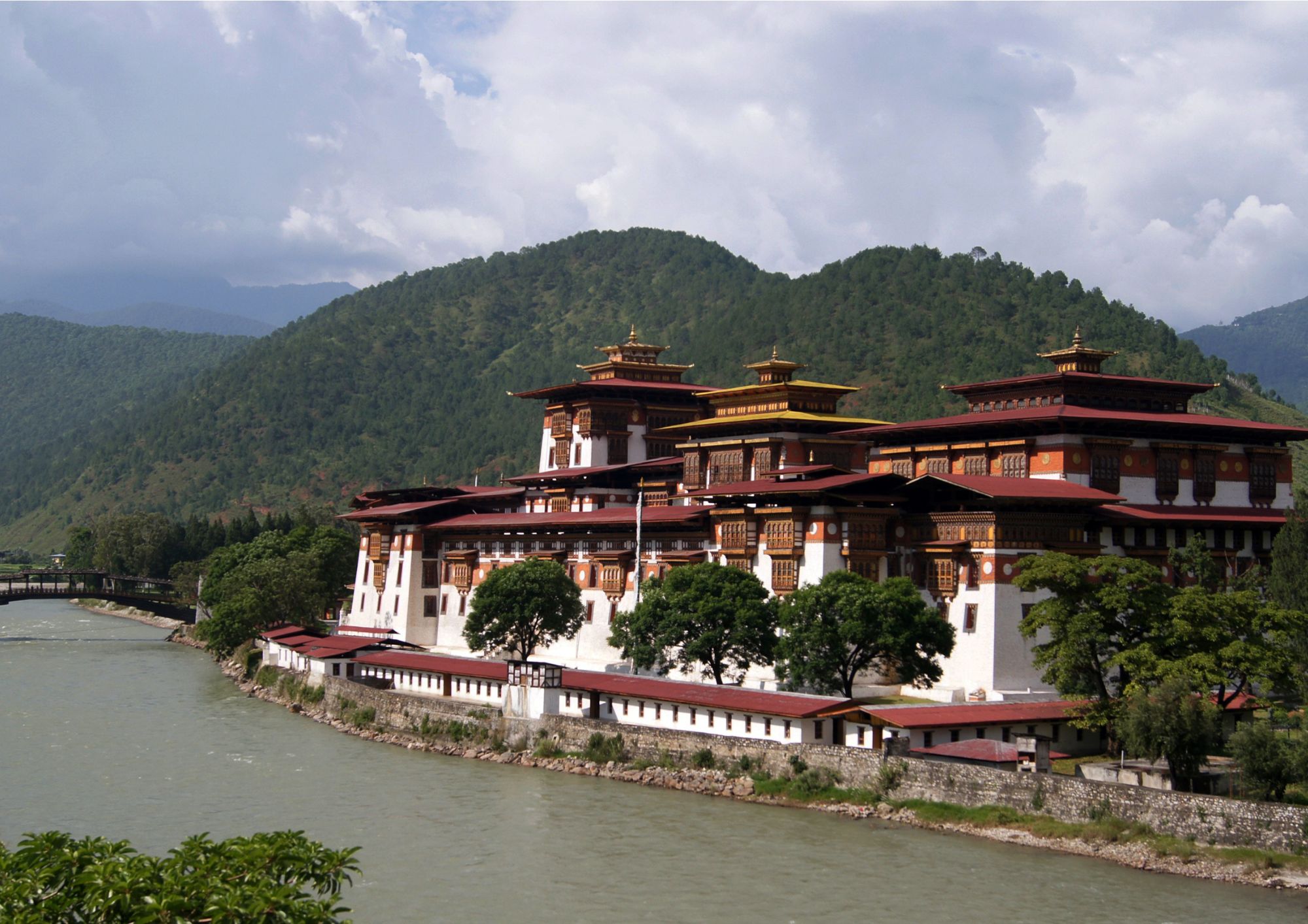 Bhutan Tea Gardens